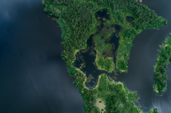 Stars en Quête: L'Envoûtante Plongée des Célébrités dans l'Univers des Jeux de Rôles